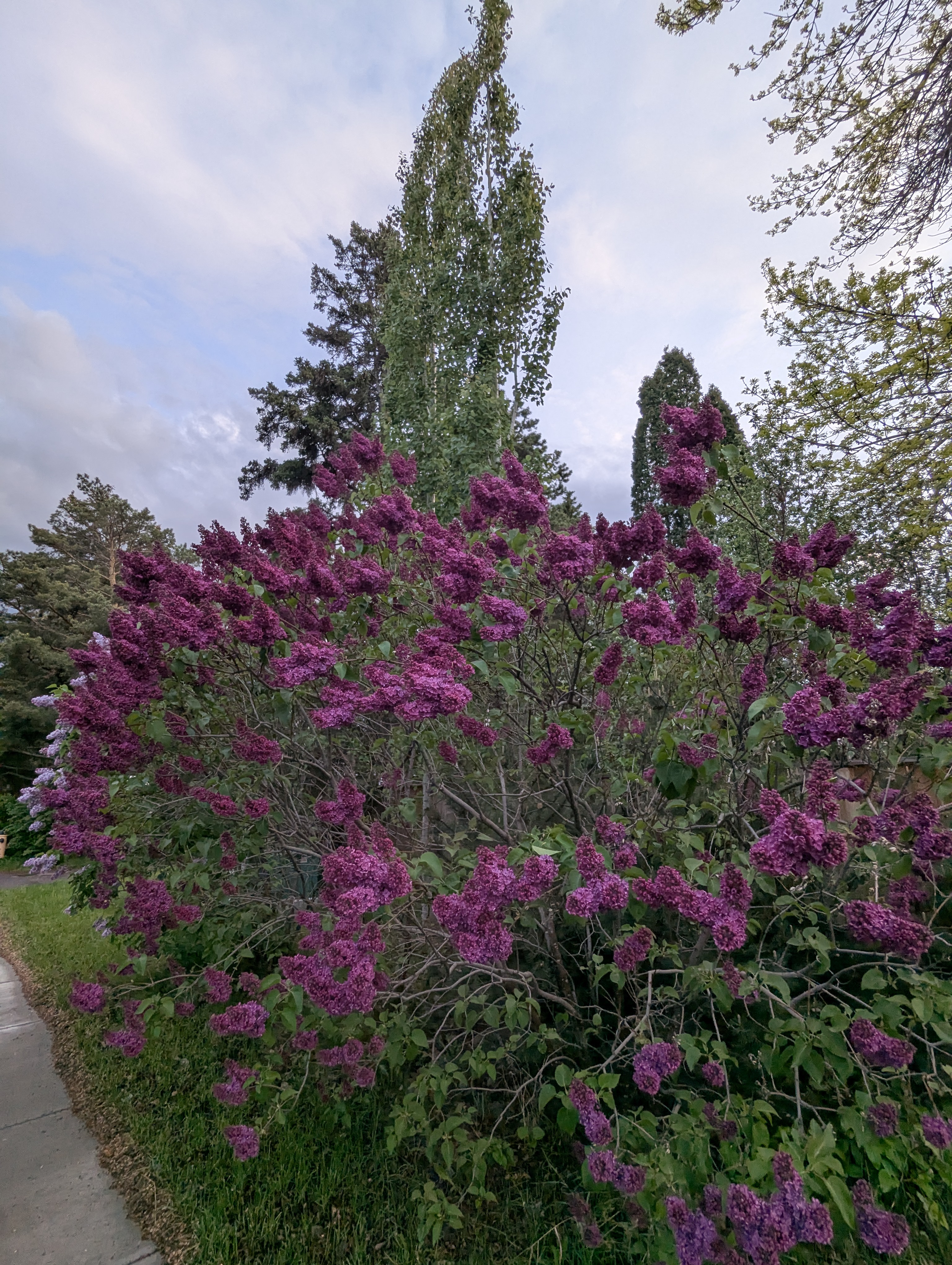 Birthday Trip to Canada, Edmonton